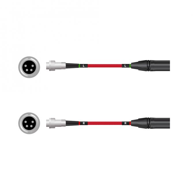 Red Dawn Speciality 4 Pin DIN to XLR (M) Cable Set