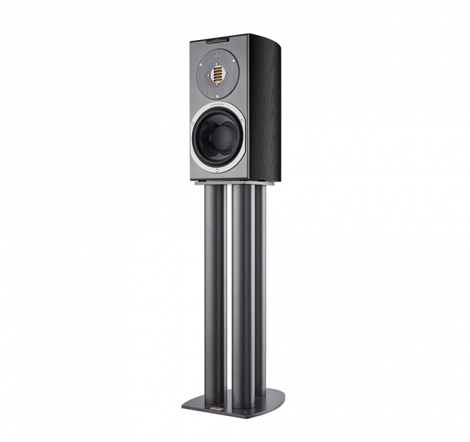 Audiovector R1 Avantgarde in black ash