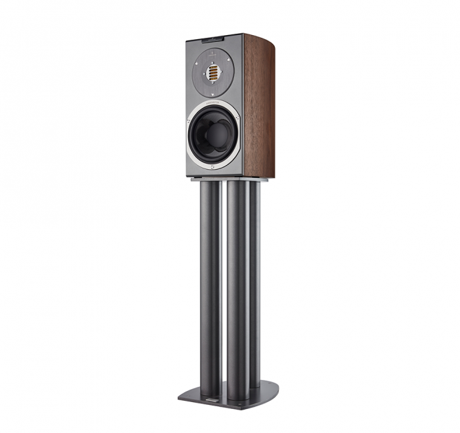Audiovector R1 Avantgarde in italian walnut