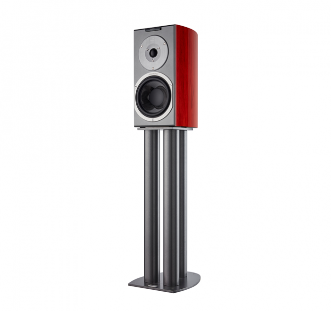 Audiovector R1 Signature in african rosewood