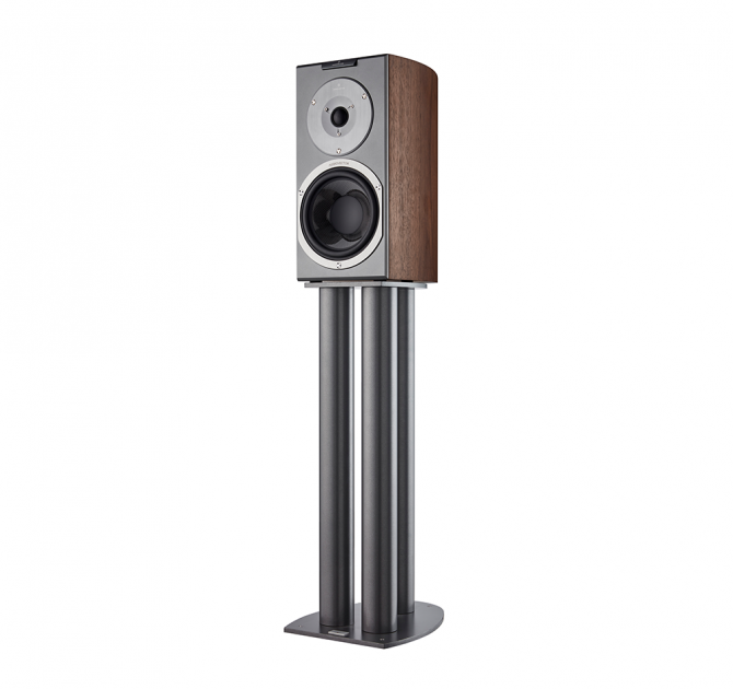 Audiovector R1 Signature in italian walnut