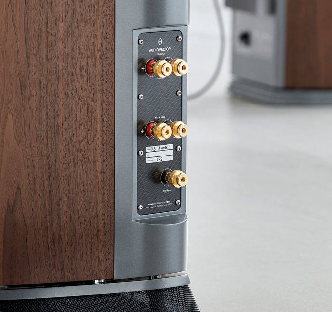 Audiovector R3 Arreté rear view of an Italian Walnut speaker