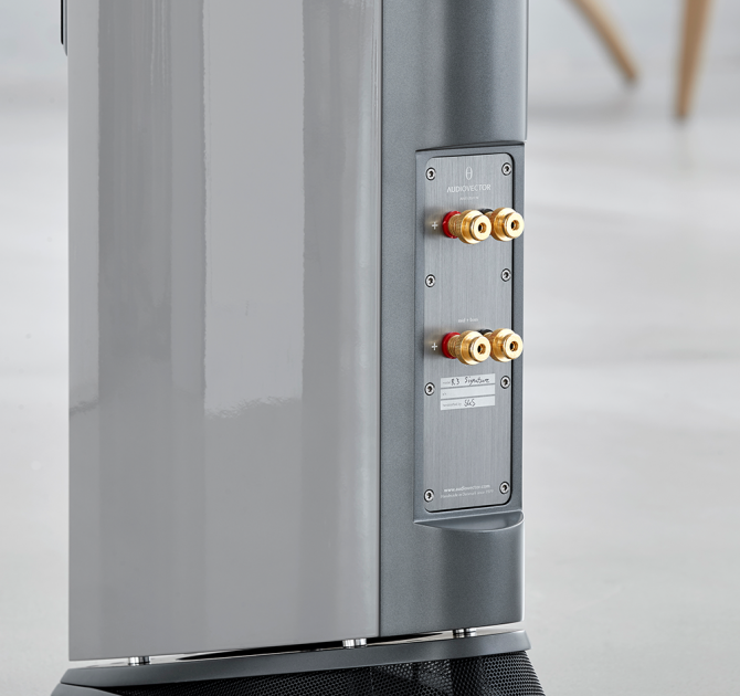 Audiovector R3 Signature in custom colour viewed from rear