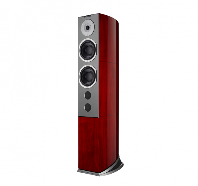 Audiovector R6 Signature in African Rosewood