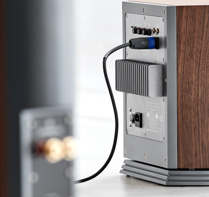 Audiovector R Sub in Italian Walnut rear view