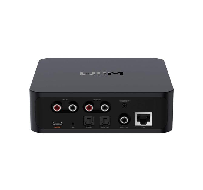 WiiM Pro Plus DAC rear view