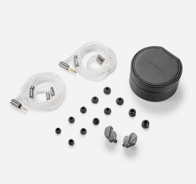 Astell & Kern Zero 2 Earphone content.  Shows the case, replacement rubber bits, chords etc