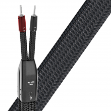 AudioQuest William Tell SILVER BiWire Speaker Cable
