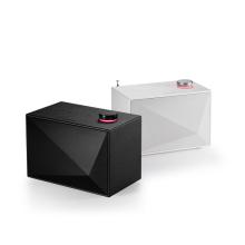 Astell & Kern ACRO BE100 Home Audio-Speakers.  One black and one white.