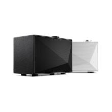 A pair of Astell & Kern ACRO BE100 Home Audio-Speakers.  One black and one white.