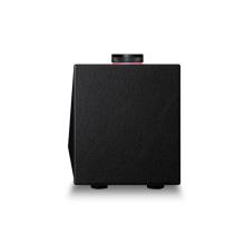 Astell & Kern ACRO BE100 Home Audio-Speaker in black.  End view