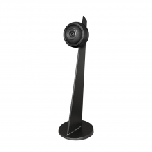 Cabasse Baltic 5 Sub System (on stand) in black.  One speaker on a black stand.