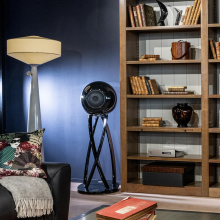 Cabasse Pearl Pelegrina Loudspeaker in black.  In a living room beside a book shelf