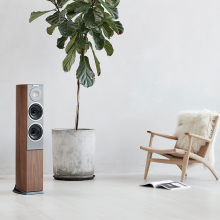 Audiovector R3 Arreté next to a large houseplant with a chair in front of the speaker