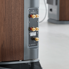 Audiovector R3 Arreté rear view of an Italian Walnut speaker