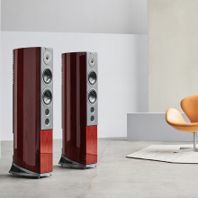 Audiovector R6 Signature pair
