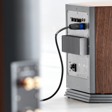 Audiovector R Sub in Italian Walnut rear view