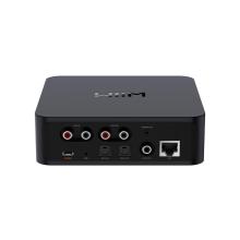 WiiM Pro Plus DAC rear view